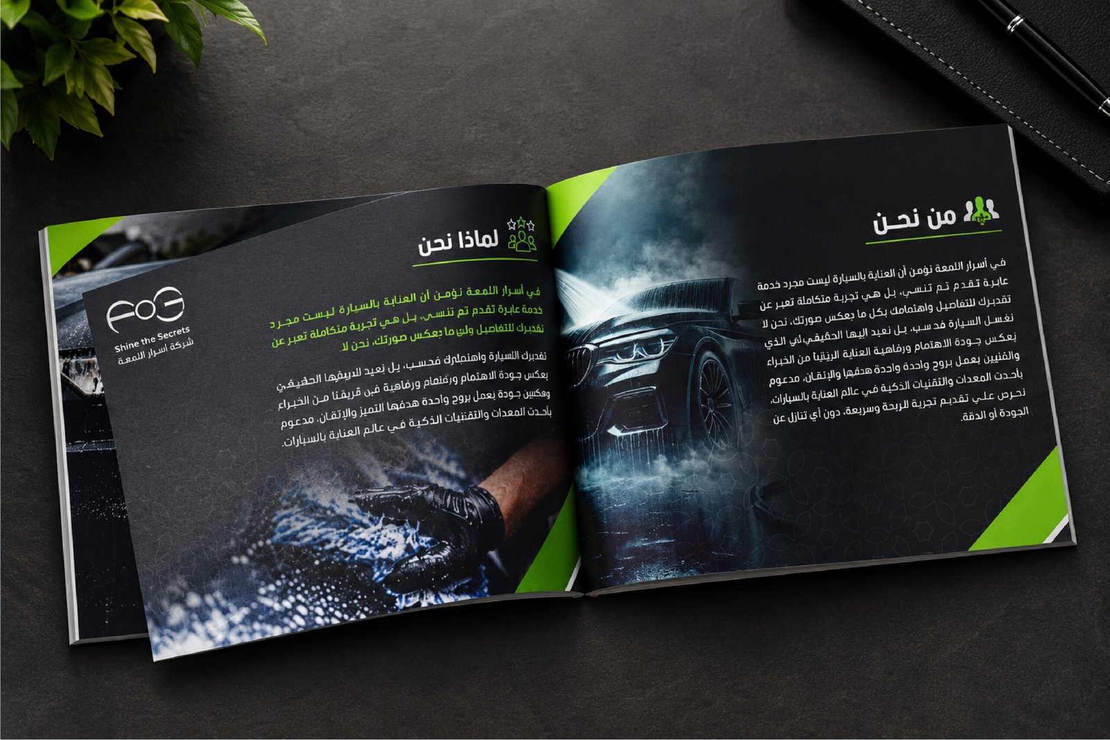 البروفايلات